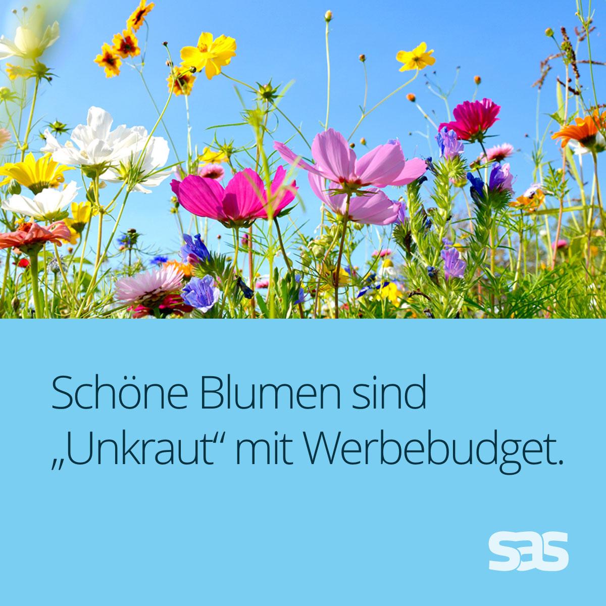 Denkspruch: „Blumen sind Unkraut mit Werbebudget!“